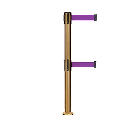 Stanchion Dual Belt Barrier Fixed Base Sat.Brass Post 9ft.Purple Belt